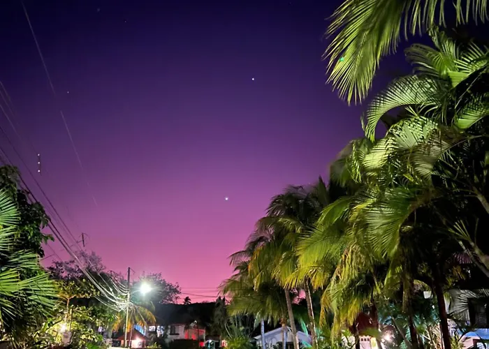 Tropical Escape At Life Coco