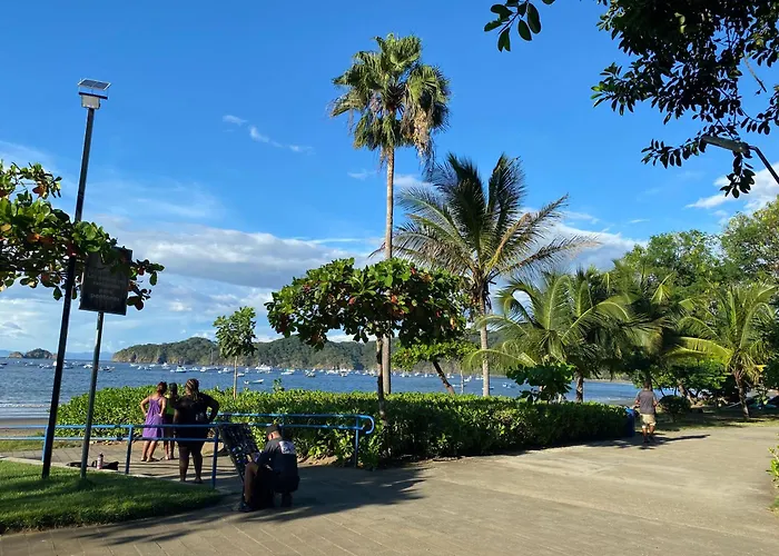 Tropical Escape At Life Coco
